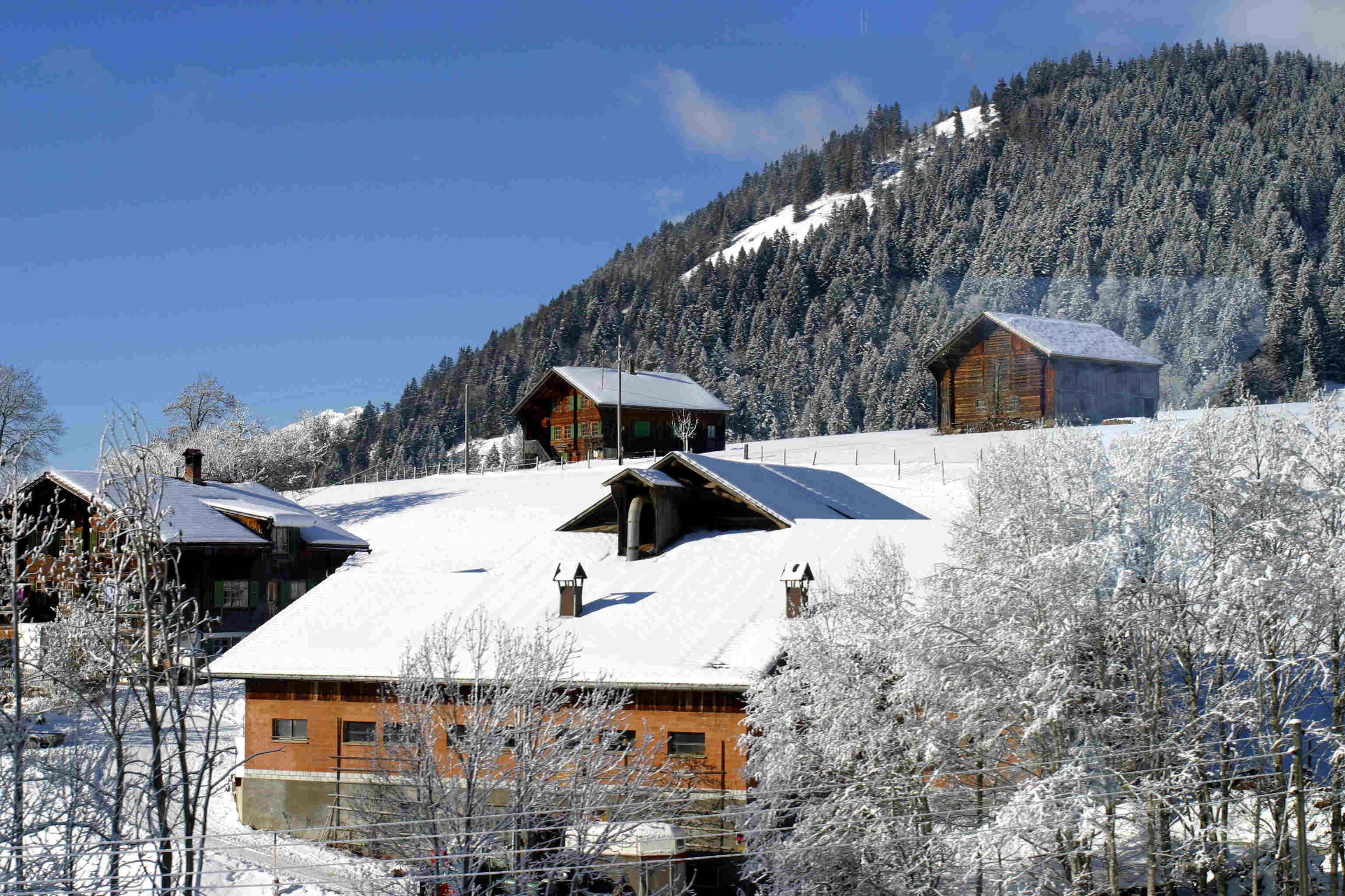 Photogallery Switzerland